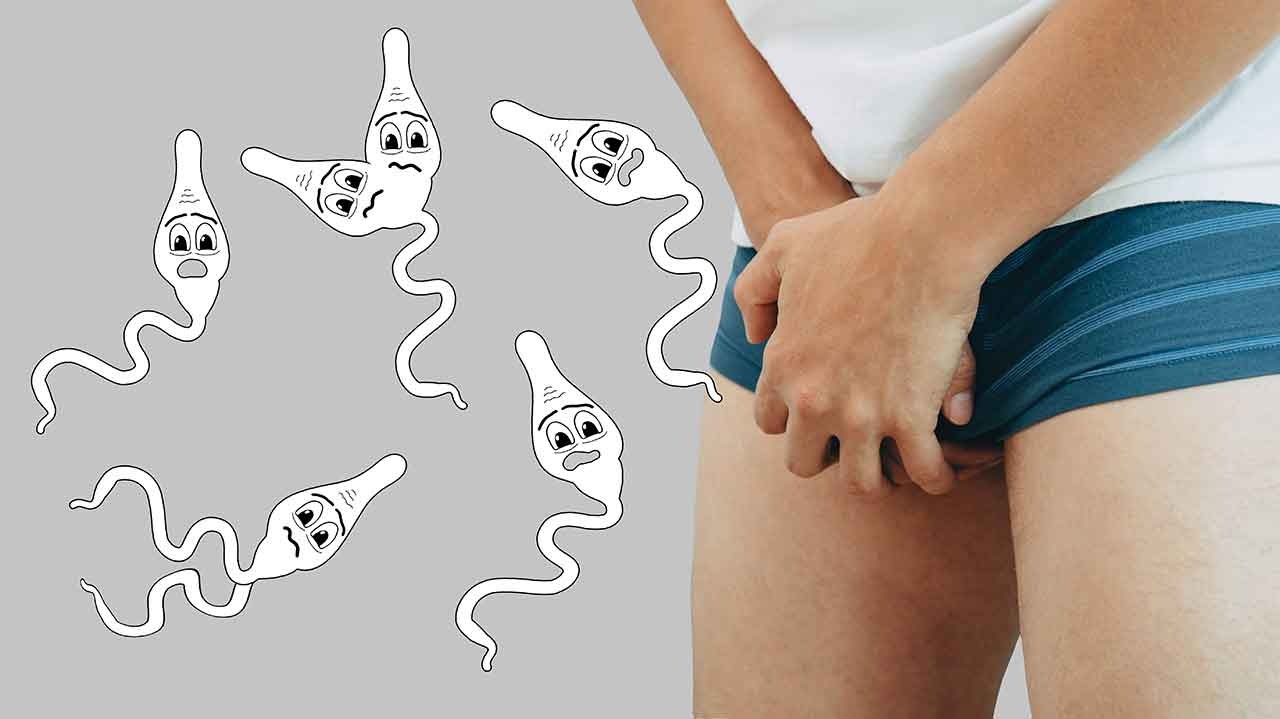 এই গবেষণার নেতৃত্বে ছিলেন হার্ভার্ড বিশ্ববিদ্যালয়ের টিএইচ চ্যান স্কুল অফ পাবলিক হেলথের বিজ্ঞানী লিডিয়া মিঙ্গুয়েজ-আলারকন। তিনি জানিয়েছেন, অন্তর্বাসের ধরন দীর্ঘদিন ধরেই পুরুষদের প্রজনন ক্ষমতার ওপর প্রভাব ফেলে কি না, তা নিয়ে গবেষণা চলছিল। সাম্প্রতিক গবেষণায় বিষয়টি নিয়ে আরও সুস্পষ্ট ধারণা মিলেছে।